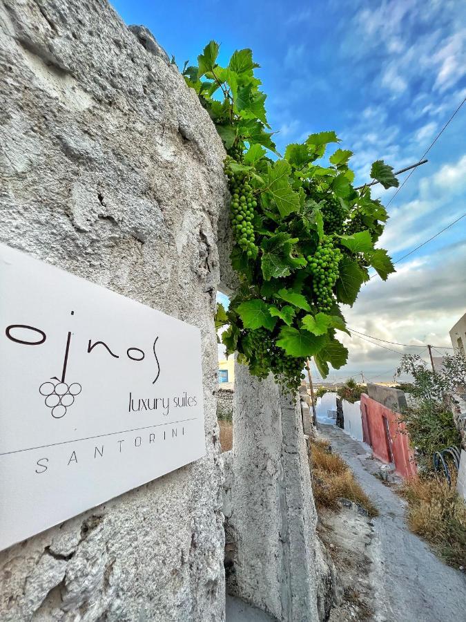 Oinos Luxury Suites Φοινικιά Εξωτερικό φωτογραφία